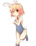  animal_ears bare_shoulders bunny_ears bunny_tail bunnysuit detached_collar fake_animal_ears highres kotoura-san kotoura_haruka naya necktie orange_eyes orange_hair short_hair simple_background solo sweatdrop tail white_background wrist_cuffs 