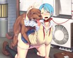  ;p ahegao air_conditioner animal bad_id bad_pixiv_id bag bdsm bestiality blue_hair blush bondage bound breasts clothed_sex collar dog doggystyle fucked_silly heart huge_breasts kneehighs leash messenger_bag one_eye_closed open_mouth original panties panty_pull pink_panties pussy_juice pussy_juice_stain saliva school_uniform sex short_hair shoulder_bag slave socks solo_focus sweat tongue tongue_out underwear v vaginal vest wet wet_clothes wet_panties xxzero yellow_eyes 