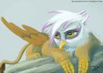  avian brown_feathers brown_fur female feral friendship_is_magic fur gilda_(mlp) gryphon my_little_pony outside raikoh-illust solo white_feathers wings wood yellow_eyes 
