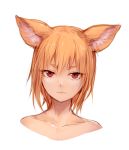  1girl absurdres animal_ears bangs closed_mouth collarbone ears_down fox_ears fox_girl highres looking_at_viewer nude orange_hair original portrait red_eyes short_hair simple_background slit_pupils solo sukemyon white_background 