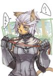  ? animal_ear_fluff animal_ears armor bad_id bad_pixiv_id blue_eyes final_fantasy final_fantasy_xi leash mithra solo suzuno_(bookshelf) tail translated 