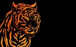  ambiguous_gender feline feral invalid_color mammal solo tiger unknown_artist wallpaper whiskers 