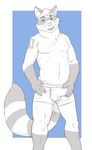  bulge chubby linkin_monroe male mammal raccoon solo tattoo underwear unknown_artist whiskers 