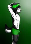  bulge canine clothed clothing dog green_hair hair half-dressed husky invalid_color male mammal maron_the_husky pants solo sticks tongue tongue_out topless underwear 