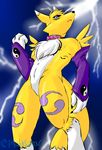  canine collar digimon fox fur glove lightning male mammal purpel purple_clothing renamon solo white white_fur wiskar yang yellow yellow_fur yin_yang ying 