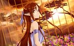  sword_art_online tagme yuuki_asuna 