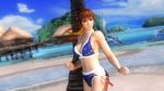  3d beach bikini breasts dead_or_alive dead_or_alive_5 highres kasumi kasumi_(doa) large_breasts midriff ocean official_art palm_tree swimsuit tecmo tree wallpaper 