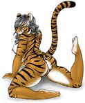 anus breasts butt cat chaotikat feline female long_tail looking_at_viewer looking_back mammal nipples nude pose pussy raised_tail solo tiger yellow_eyes 