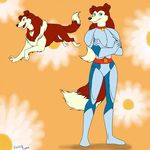 border_collie canine colleen dog fanart female feral fuzzycoma mammal road road_rovers rough_collie rovers solo 