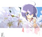  blue_eyes hair_over_one_eye japanese_clothes kimono mahou_sensei_negima! miyazaki_nodoka purple_hair solo yuumin 