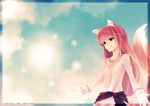  animal_ears bad_id bad_pixiv_id brown_hair holo long_hair red_eyes saki_(pixiv303252) solo spice_and_wolf tail wolf_ears 