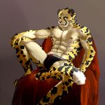  ainro anthro biceps big_muscles black_fur body_markings briefs bulge cheetah clothed clothing feline fur half-dressed looking_at_viewer male mammal markings muscles nipples pecs pose sitting solo spots topless underwear unknown_artist white_fur yellow_fur 