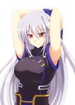  armpits arms_up azumaya_hironaru bare_shoulders breasts gloves large_breasts long_hair lyrical_nanoha mahou_shoujo_lyrical_nanoha mahou_shoujo_lyrical_nanoha_a's mahou_shoujo_lyrical_nanoha_the_movie_2nd_a's reinforce silver_hair single_hair_intake smile solo 