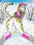  anus blonde_hair blue_eyes bottomless butt clothed clothing feline female grin hair half-dressed inviting leg_warmer legwear leopard lizebra looking_at_viewer looking_back mammal nude presenting presenting_hindquarters pussy raised_tail scarf skimpy snow snow_leopard solo 