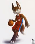  basketball canine fox green_eyes male mammal solo thanshuhai 