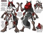  animal_genitalia anus armpit_hair balls breasts canine canine_penis digitigrade fenrir_lunaris fur green_eyes grey_fur hair herm intersex lying mammal model_sheet multi_boob multi_breast multi_limb multiple_arms on_front penis pubes pussy red_hair ref_sheet sheath solo were werewolf 