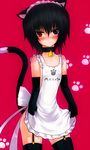  androgynous animal_ears apron bad_id bad_pixiv_id belt cat_ears cat_tail heterochromia np_(edage_no_hazama) original solo tail 