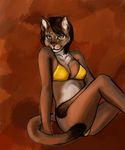 abstract_background animal_ears anthro bikini breasts brown_fur brown_hair cat cat_ears catgirl cleavage clothed clothing feartakyuubi feline female fur hair looking_at_viewer mammal multi-colored_body multicolor_fur pink_nose plain_background red_background shazzi short_hair sitting skimpy smile solo swimsuit tan_fur tight_clothing two_tone_fur white_fur yellow_bikini yellow_eyes 