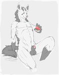  canine dog hyena male mammal mane mightyena nintendo nude penis penis_tip piercing pok&#233;ball pok&#233;mon pok&eacute;ball pok&eacute;mon sheath sitting sixsydes video_games 