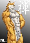  abs anthro biceps bleach bomb_(artist) brown_fur bulge canine clothed clothing fur half-dressed loincloth male mammal muscles nipples pecs pose sajin_komamura shinigami solo standing text topless underwear white_fur wolf 