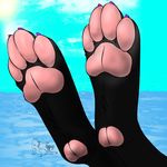  barefoot canine claws close-up cloud clouds digitigrade foot_focus fox hindpaw male mammal paw_fetish pawpads paws sky soles solo sun toes water yiffy_foxy 