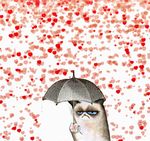 animated blood blue_eyes cat feline frown grumpy mammal plain_background rain sad solo tard tardar_sauce umbrella unknown_artist white_background 