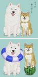  akita_inu animal animal_focus balancing chikuwa copyright_request dog food fruit highres jewelry necklace no_humans shiba_inu tongue watermelon whiskers 
