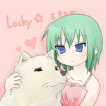  blue_eyes cherry_(lucky_star) dog green_hair iwasaki_minami lucky_star sasa90 short_hair 