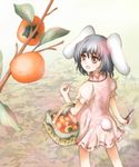  :d animal_ears arm_at_side bangs bare_arms basket black_hair blurry branch bunny_ears bunny_girl bunny_tail carrying clenched_hand cowboy_shot day depth_of_field dress eyebrows_visible_through_hair food from_above from_behind fruit highres holding inaba_tewi knj looking_up open_mouth outdoors persimmon pink_dress plant red_eyes ribbed_dress ribbon-trimmed_sleeves ribbon_trim scissors shears short_dress short_hair short_sleeves smile solo standing tail touhou 