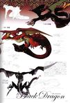  character_name concept_art drag-on_dragoon drag-on_dragoon_1 dragon fujisaka_kimihiko no_humans non-web_source official_art page_number 