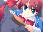  artist_request blue_eyes dog fairly_life fur game_cg hair_brush hair_ornament hairclip red_hair school_uniform solo 