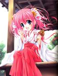  absurdres bell blue_eyes fang hakama highres japanese_clothes kishi_aimi miko miyama-zero pink_hair princess_brave red_hakama sitting solo 