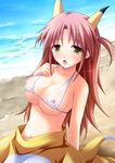  animal_ears beach bikini blush breasts brown_hair infinite_stratos large_breasts long_hair looking_at_viewer nipples nohotoke_honne ocean open_mouth outdoors sand see-through solo swimsuit tsuda_akira water yellow_eyes 