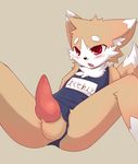  balls black_nose blush canine cub erection fox knot male mammal open_mouth penis red_eyes sitting solo spreading swimsuit young 
