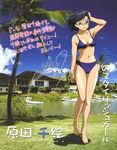  absurdres barefoot bikini black_hair blue_bikini breasts brown_eyes character_name character_signature cloud cloudy_sky day glasses grass grey-framed_eyewear hand_in_hair harada_chie highres hisayuki_hirokazu house lake looking_at_viewer medium_breasts my-hime navel official_art palm_tree photo_background scan semi-rimless_eyewear sky smile solo swimsuit translation_request tree 