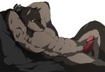  &#12373;&#12360;&#12365;&#12414;&#12426;&#12362; anthro balls biceps canine censored chest_tuft erection flexing fur grey_fur hands_behind_head looking_at_viewer male mammal muscles nude pecs penis pose sae_kimario sheath solo toned tuft unknown_artist vein wolf 