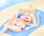  beach big_breasts bikini breasts cleavage clothed clothing cute dullvivid erect_nipples feline female huge_breasts mammal nipples seaside skimpy swimsuit tight_clothing 