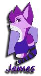  arm_warmers armwear canine clothed clothing crop_top crossdressing darky_n_ichigo_(darky) dog fur hair half_body husky james_(mrpeanutboy) male mammal purple_eyes purple_fur purple_hair purple_nose shirt smile 