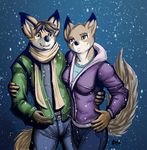  anthro boneitis brown_hair canine clothed clothing couple duo female fox hair male mammal outside scarf snow snowing winter 
