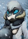  blue_eyes breasts chest_tuft cold dragon female fenra fur grey_fur horn ice lexi northern_ice_fenra nostrils portrait sefeiren snow snowing solo tuft wings 
