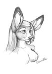  cervine deer female hair long_hair mammal monochrome sketch smile solo unicornblue 