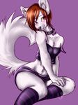  blush brown_eyes brown_hair canine clothing collar crossdressing fur girly hair male mammal plain_background raised_tail sabuteur shirt sitting socks solo strap_slip top unicornblue white_fur wolf 