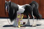  balls bestiality blue_eyes cum equine erection fellatio female feral fluttershy_(mlp) friendship_is_magic gypsy_vanner hair horse horsecock interspecies lostdragon01 male my_little_pony open_mouth oral oral_sex orgasm penis pink_hair pony sex straight swallowing tinker van 