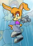  bunnie_rabbot e_122_psi female green_eyes hi_res lagomorph large_res machine mammal mechanical rabbit robot sega smile sonic_(series) 