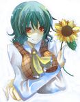  ascot breast_hold breasts crossed_arms flower green_hair holding holding_flower kazami_yuuka large_breasts plaid plaid_vest red_eyes short_hair solo sunflower suzumura_tomo touhou upper_body vest white_background 