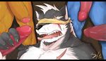  anthro blindfold blush canine censored erection gangbang gay group group_sex kadzu male mammal orgy penis scar sex tongue tongue_out unknown_artist wolf 