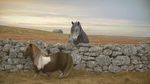  animated blonde_hair brown_hair equine field grey_hair grin hair horse humor looking_at_viewer mammal moonwalk pony real sky two_tone_hair wall 