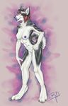  breasts canine claws dog female fur hindpaw husky mammal multi_nipple nipples nude paws purple_eyes purple_nipples purple_tongue rokemi solo standing toes tongue tongue_out white_fur 