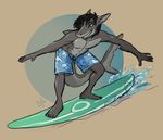  big_tail blue_eyes clothing ezra_starscale fish hair male marine nerts shark shorts solo surfboard surfing topless 