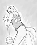  ball balls basketball bottomless butt canine dog golden_retriever greyscale jersey male mammal monochrome sixsydes sketch surprise teeth 